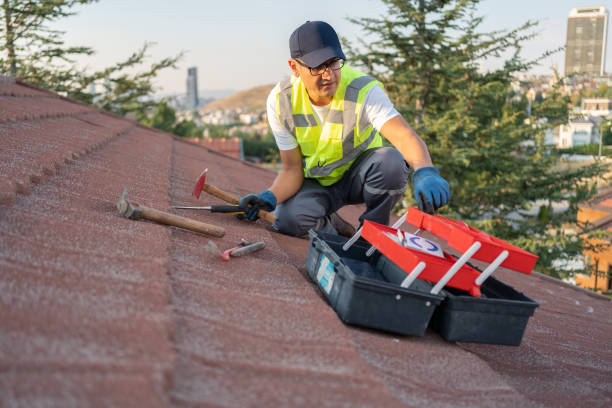 Best Fascia and Soffit Installation  in Naples Park, FL