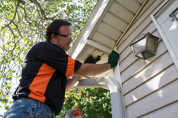 Best Stone Veneer Siding  in Naples Park, FL